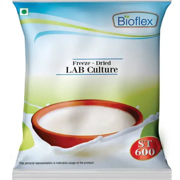 Curd Culture